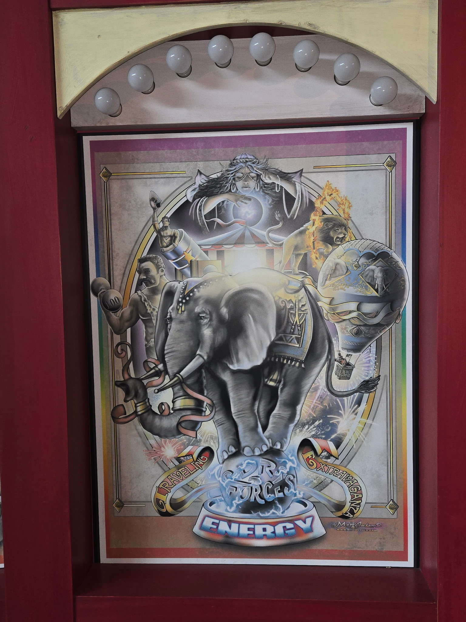 Elephant SDR Forces